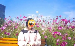 先锋影音av555资源网